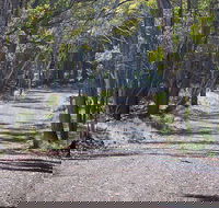 Coolah Tops National Park - Accommodation Bookings