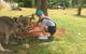 Cooberrie Park Wildlife Sanctuary - thumb 1
