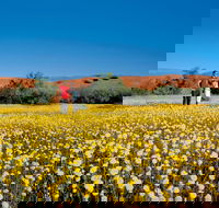 Coorow Farm Wildflower Trail - Accommodation Bookings