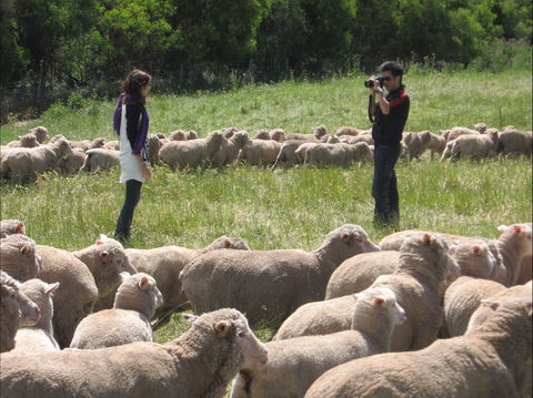 Curringa Farm - Accommodation And Farm Tours - Accommodation Bookings 1