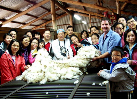 Curringa Farm - Accommodation And Farm Tours - Accommodation Bookings 2