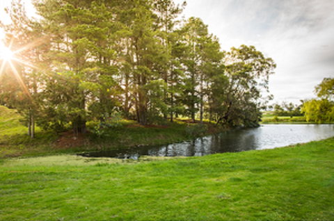 Curlewis Golf Club & The Range At Curlewis The Bellarine - Accommodation Bookings 1