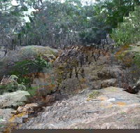 Dergholm State Park - Accommodation Bookings