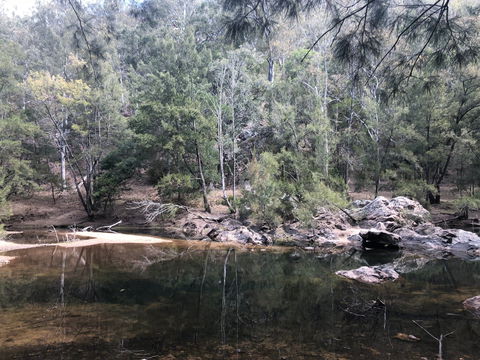 Deua River Camp Ground - Accommodation Bookings 0