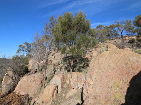 Eldorado And The Woolshed Valley - Accommodation Bookings 2