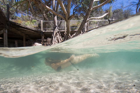 Eli Creek - Accommodation Bookings 2