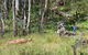 Federal Falls Walk - thumb 0