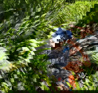 Georges Head - Accommodation Bookings