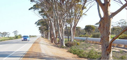 Golden Pipeline Heritage Trail - Accommodation Bookings 0