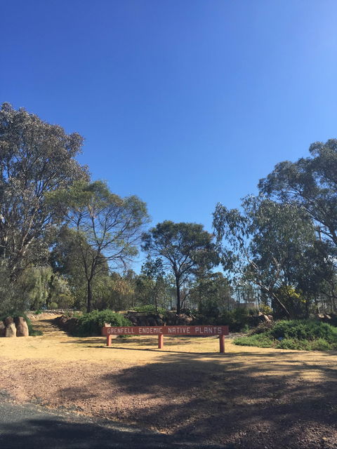 Grenfell Endemic Garden - Accommodation Bookings 0