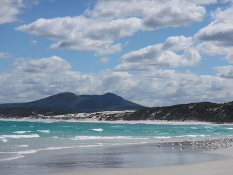 Hakea Walk Trail, East Fitzgerald National Park - Accommodation Bookings 0