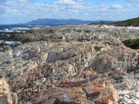 Hakea Walk Trail, East Fitzgerald National Park - Accommodation Bookings 1
