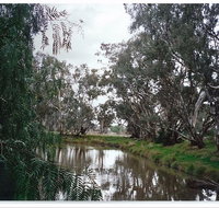 Henty Government Dam Nature Reserve - Accommodation Bookings