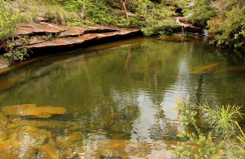 Hominy Creek Walking Track - Accommodation Bookings 0