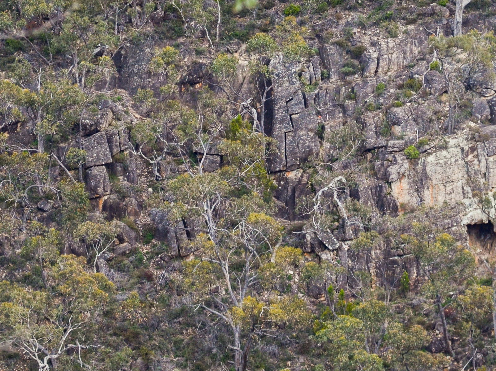 Horsnell Gully SA Accommodation Bookings