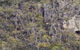 Horsnell Gully And Giles Conservation Parks - thumb 0
