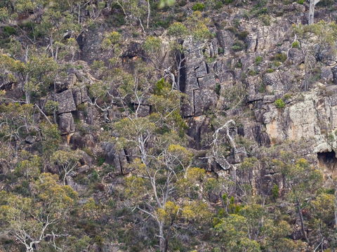 Horsnell Gully And Giles Conservation Parks - Accommodation Bookings 0