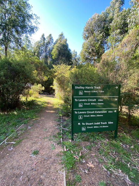 Jehosaphat Gully Picnic Area - Accommodation Bookings 2