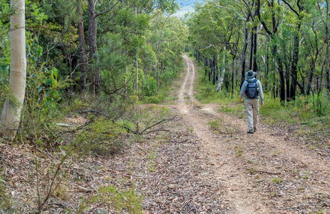 Kangaroo River Walking Track - Accommodation Bookings 0