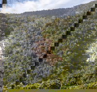 Kearneys Falls - Accommodation Bookings