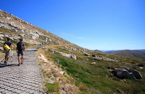 Kosciuszko Walk - Thredbo To Mount Kosciuszko - Accommodation Bookings 0
