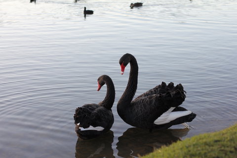 Lake Weeroona - Accommodation Bookings 1