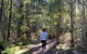 Lyrebird Circuit Walk - thumb 0