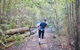 Lyrebird Circuit Walk - thumb 1