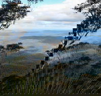 Mount Imlay National Park - Accommodation Bookings