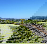Mt Lindsay Rotary Park - Accommodation Bookings
