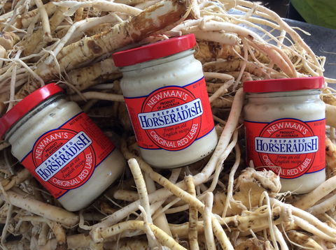 Newman's Horseradish Farm And Rusticana Wines - Accommodation Bookings 0