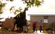 Newman's Horseradish Farm And Rusticana Wines - thumb 1