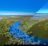 Noosa Everglades