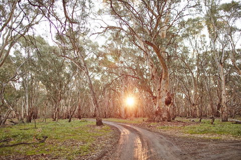 Nyah Vinifera Park - Accommodation Bookings 1