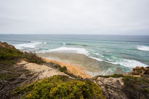 Ocean Grove Main Beach - Accommodation Bookings 1