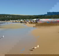 Ocean Beach Umina - Accommodation Bookings