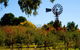 Orange Botanic Gardens - thumb 2