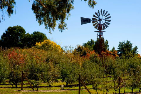 Orange Botanic Gardens - Accommodation Bookings 2