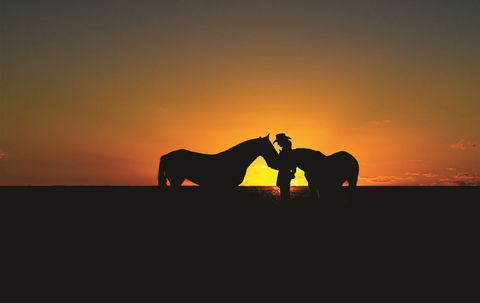 Outback Pony Rides Farm Experience - Accommodation Bookings 0
