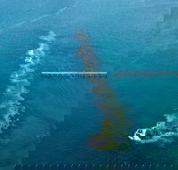Port Noarlunga Reef Sanctuary Zone - Encounter Marine Park - Accommodation Bookings