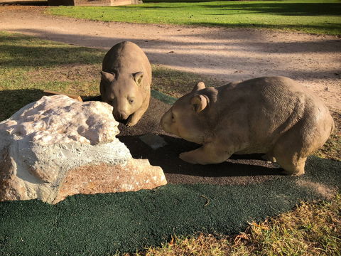 Queen Square, Moonta - Accommodation Bookings 1