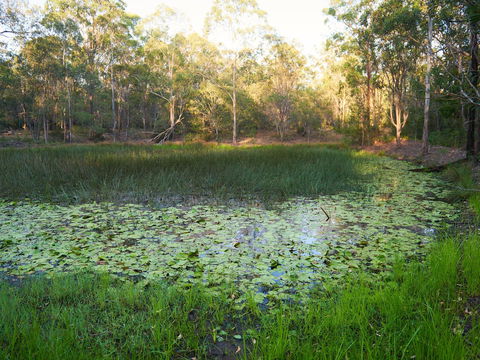 Raysource Road - Accommodation Bookings 2