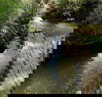 Second Ponds Creek Walk - Accommodation Bookings