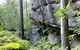She-Oak Crossing Walk - thumb 0