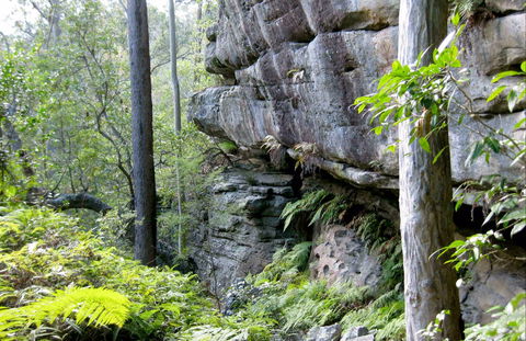 She-Oak Crossing Walk - Accommodation Bookings 0