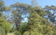 Shoalhaven Heads Native Botanic Garden - thumb 1