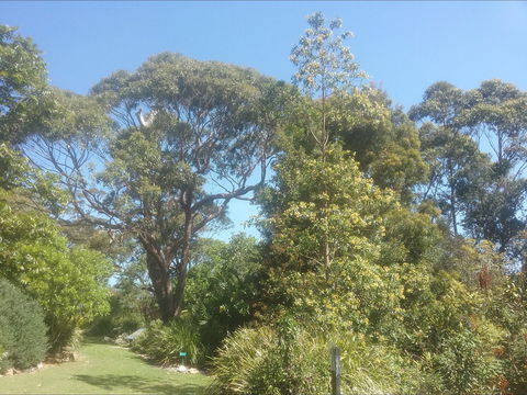 Shoalhaven Heads Native Botanic Garden - Accommodation Bookings 1