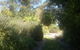 Shoalhaven Heads Native Botanic Garden - thumb 2
