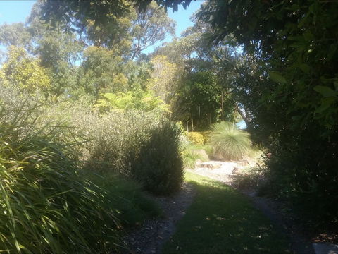 Shoalhaven Heads Native Botanic Garden - Accommodation Bookings 2