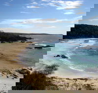 Snorkelling Mystery Bay - Accommodation Bookings